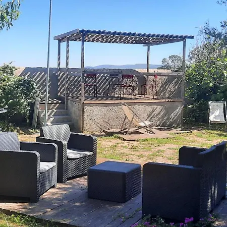 Paulette La Galinette Et Laurent Le Goeland *