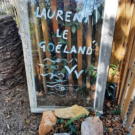 Paulette La Galinette Et Laurent Le Goéland Hébergement de vacances Sète