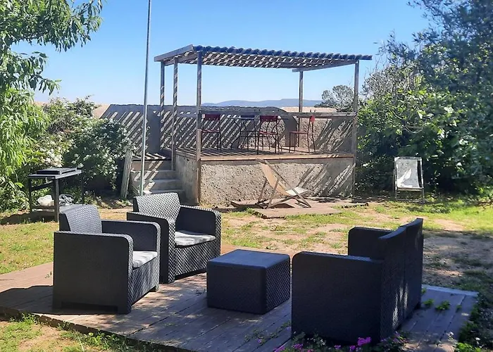 Paulette La Galinette Et Laurent Le Goéland *